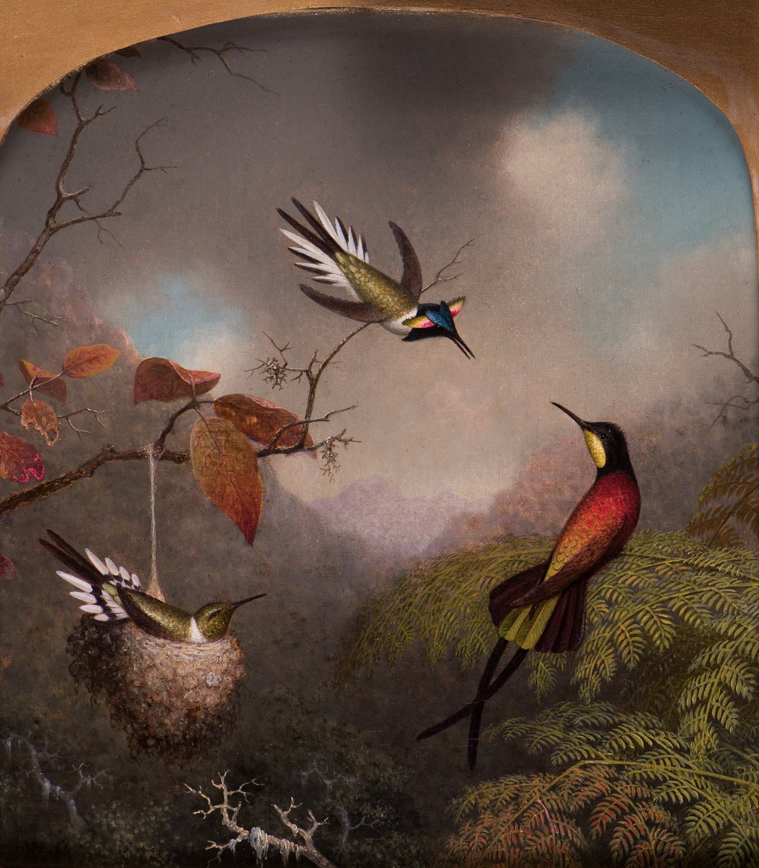 Hummingbirds: To "Sungems" og en "Crimson Topaz", 1866 af Martin Johnson Heade