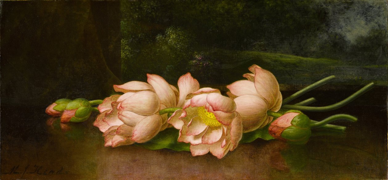 Lotusblomster med et landskabsmaleri i baggrunden af Martin Johnson Heade