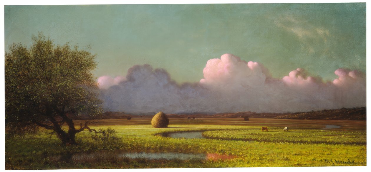 Sunlight and Shadow: The Newbury Marshes af Martin Johnson Heade