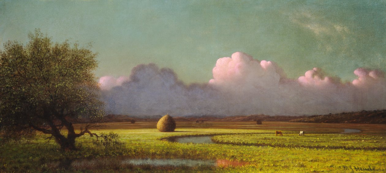 Sollys og skygge- Newbury Marshes af Martin Johnson Heade
