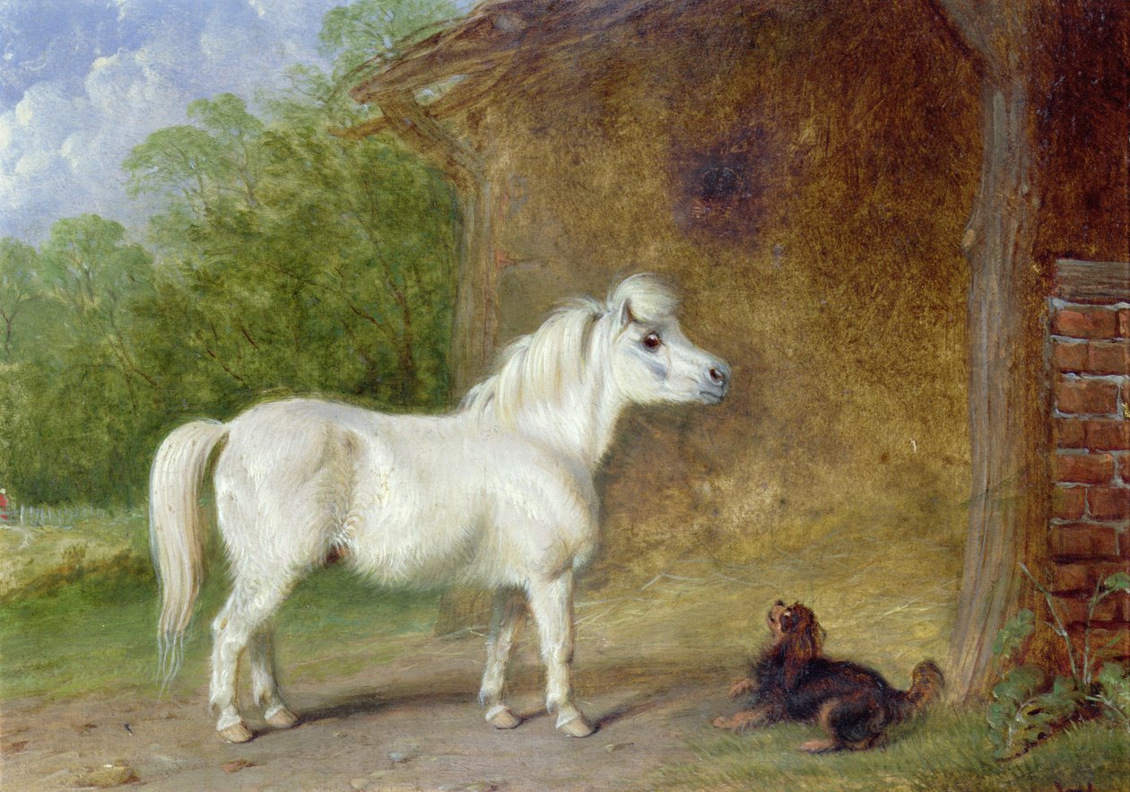 En shetlandspony og en King Charles spaniel (bræt) af Martin Theodore Ward
