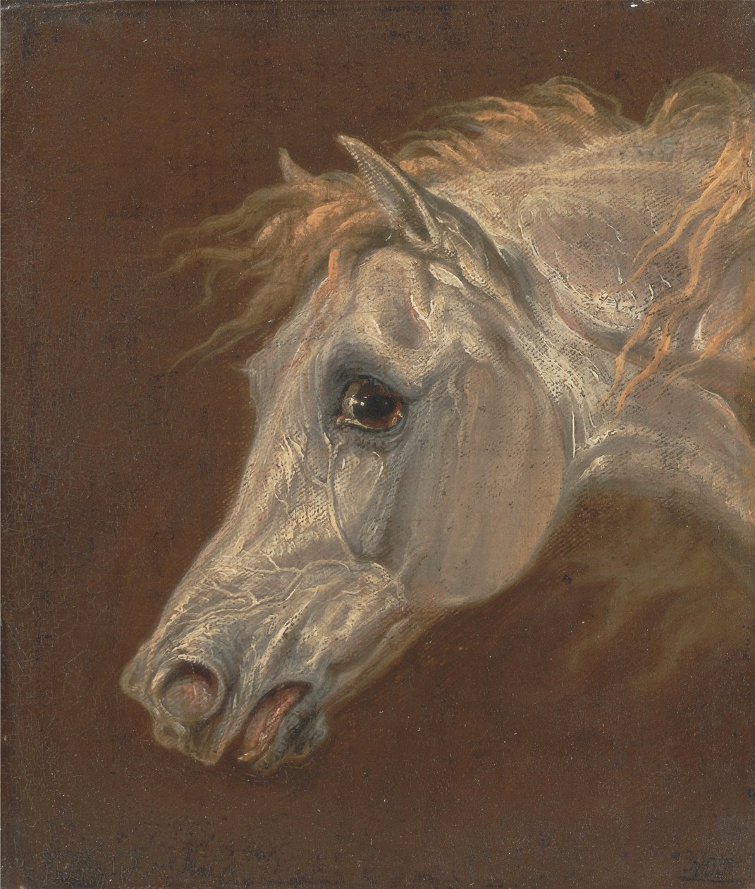 Leder af en grå arabisk hest af Martin Theodore Ward