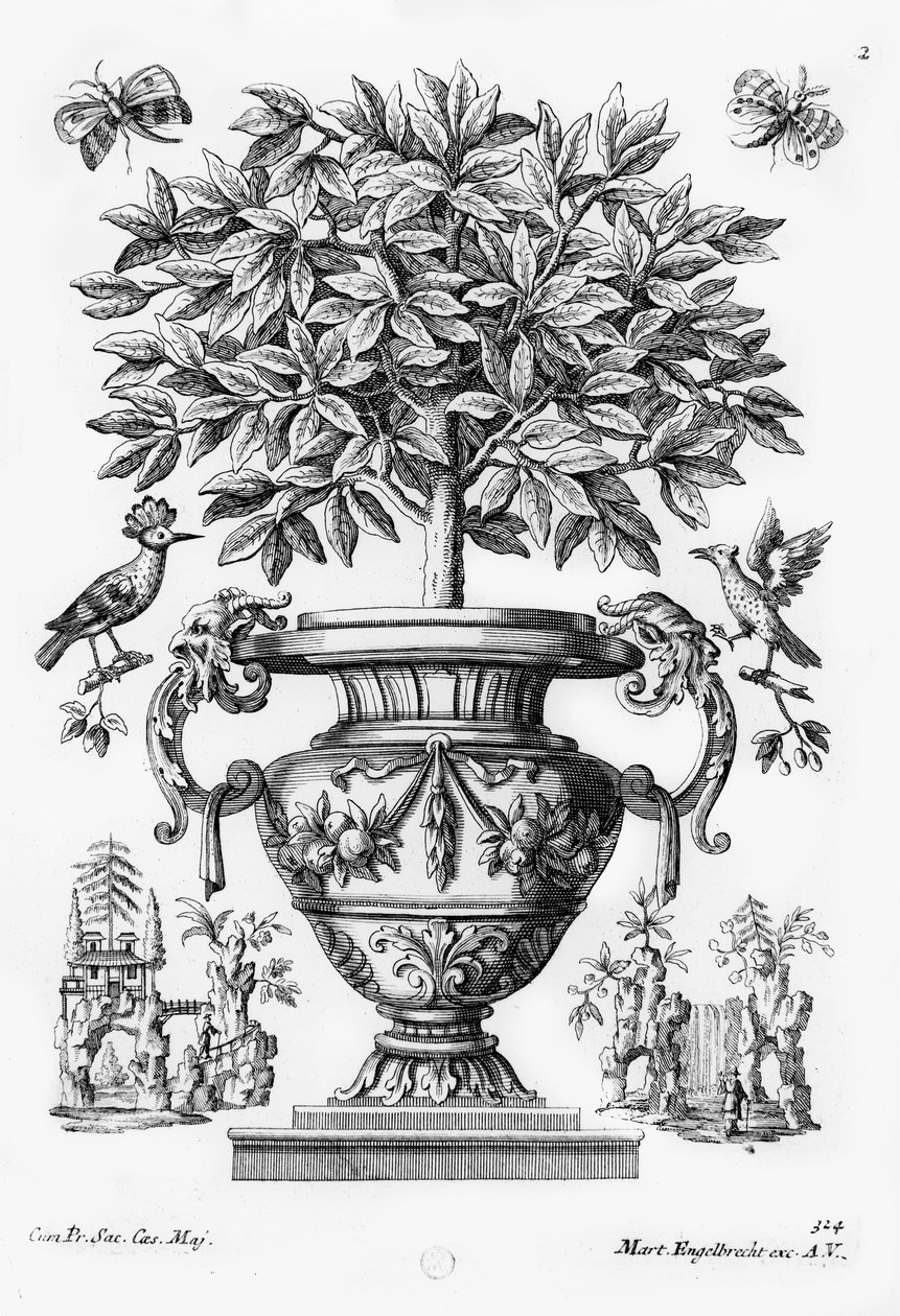 Citrustræer, c.1735 af Martin Engelbrecht