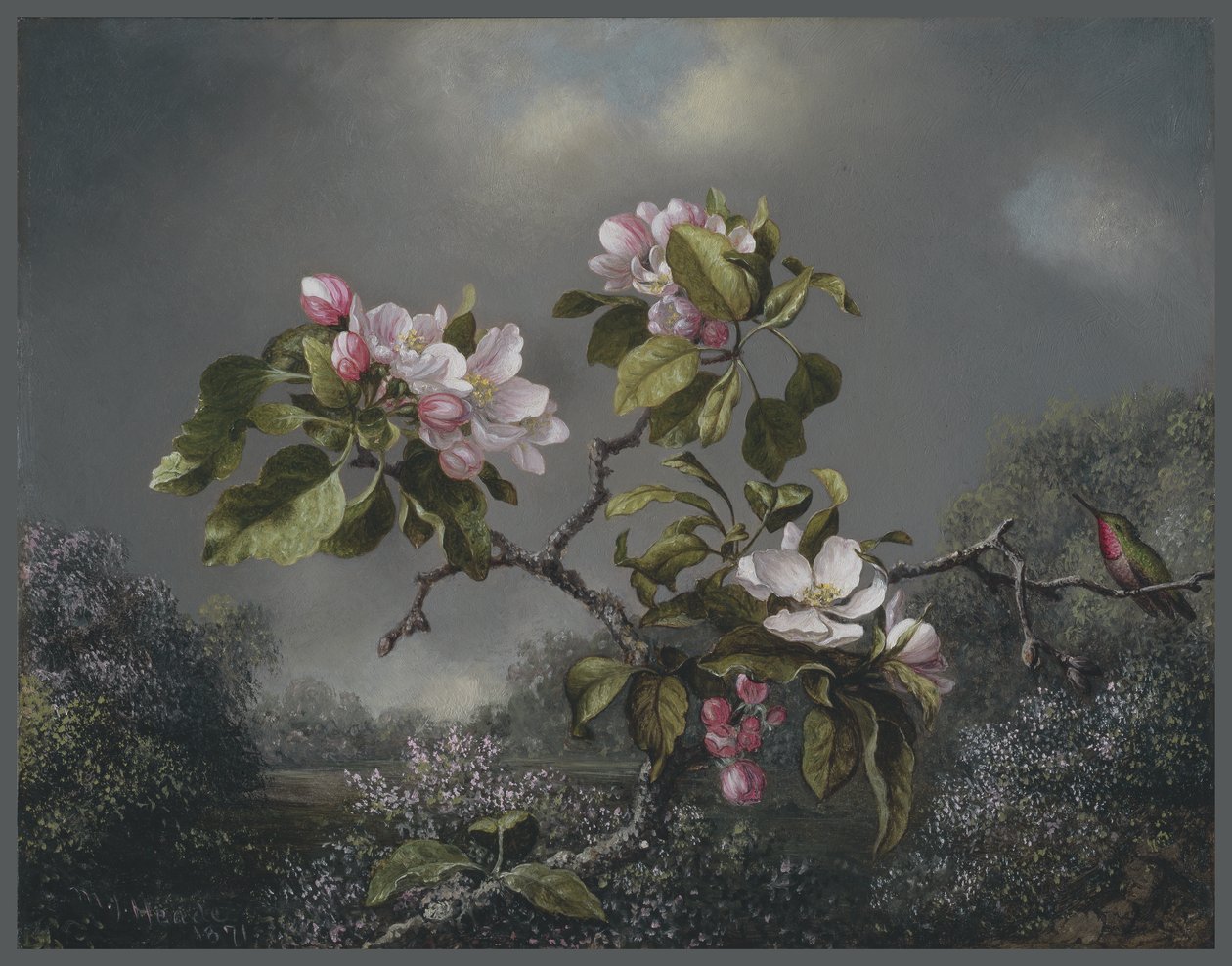 Æbleblomster og kolibri, 1871 af Martin Johnson Heade