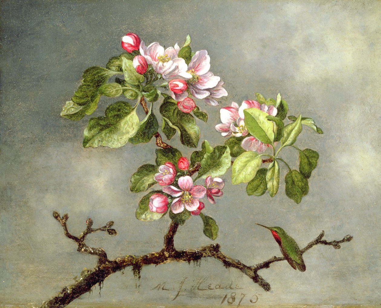 Æbleblomster og en kolibri, 1875 af Martin Johnson Heade