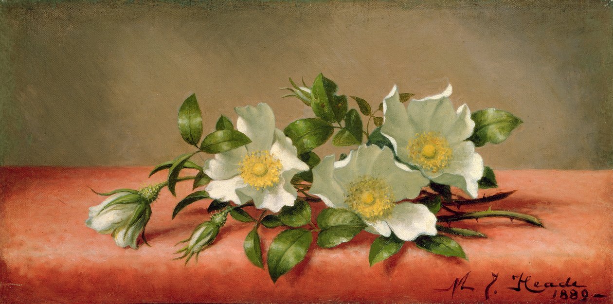 Cherokee Roses, 1889 af Martin Johnson Heade