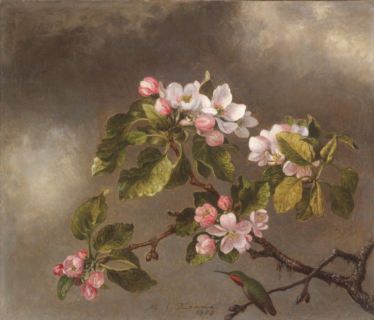 Kolibri og æbleblomster, 1875. af Martin Johnson Heade