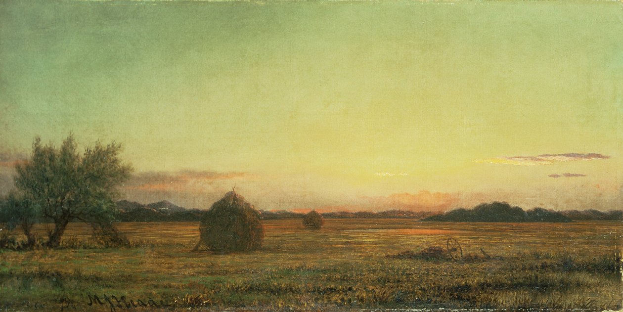 Jersey Meadows af Martin Johnson Heade