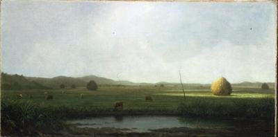 Marsh Scene: Cattle near a Hay Saddle (olie på lærred) af Martin Johnson Heade