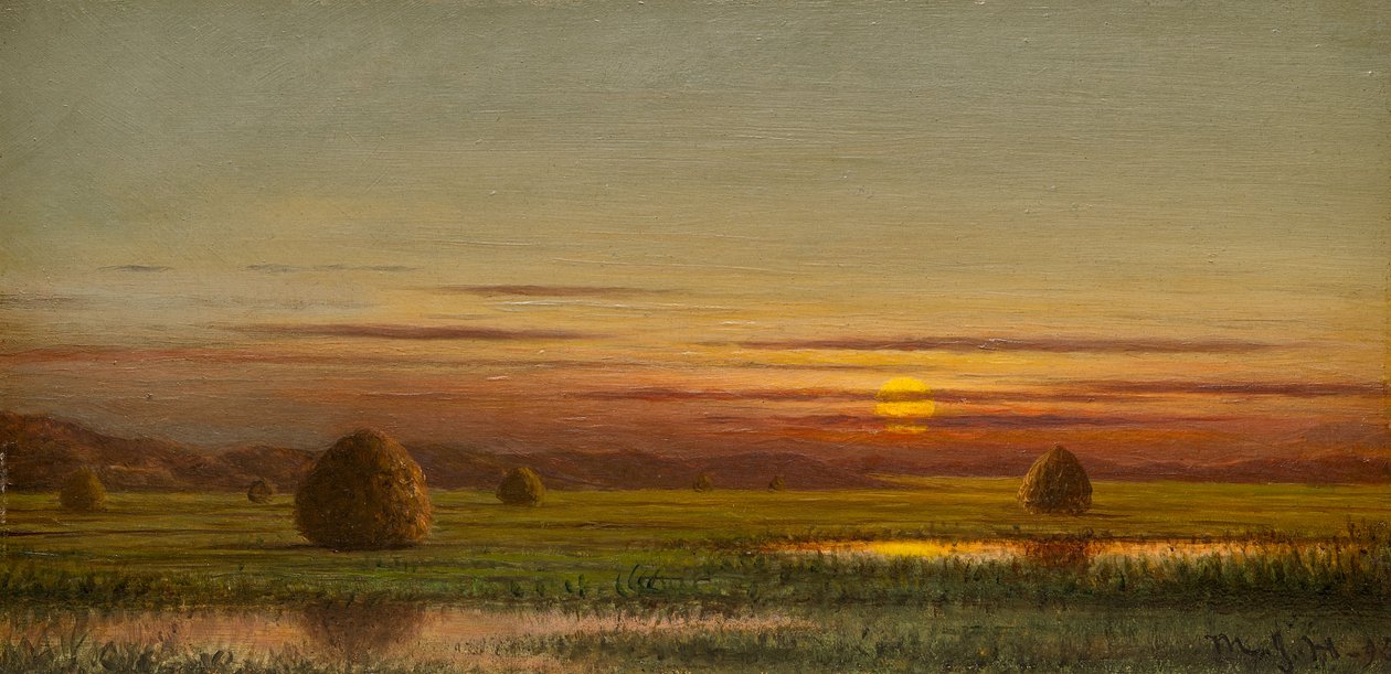 Marskland af Martin Johnson Heade