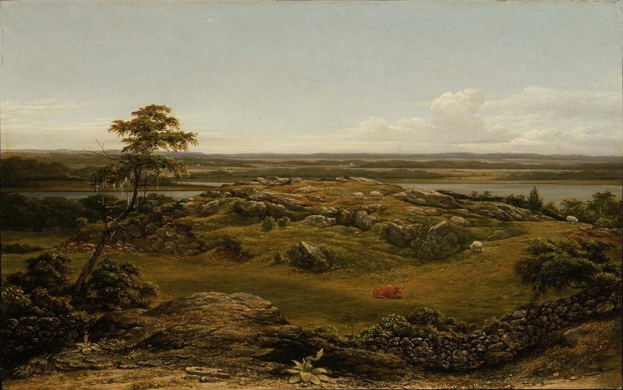 Klipper i New England af Martin Johnson Heade