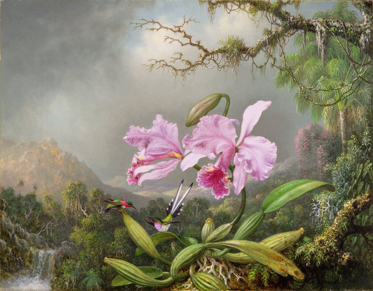 Studie af en orkidé, 1872 af Martin Johnson Heade