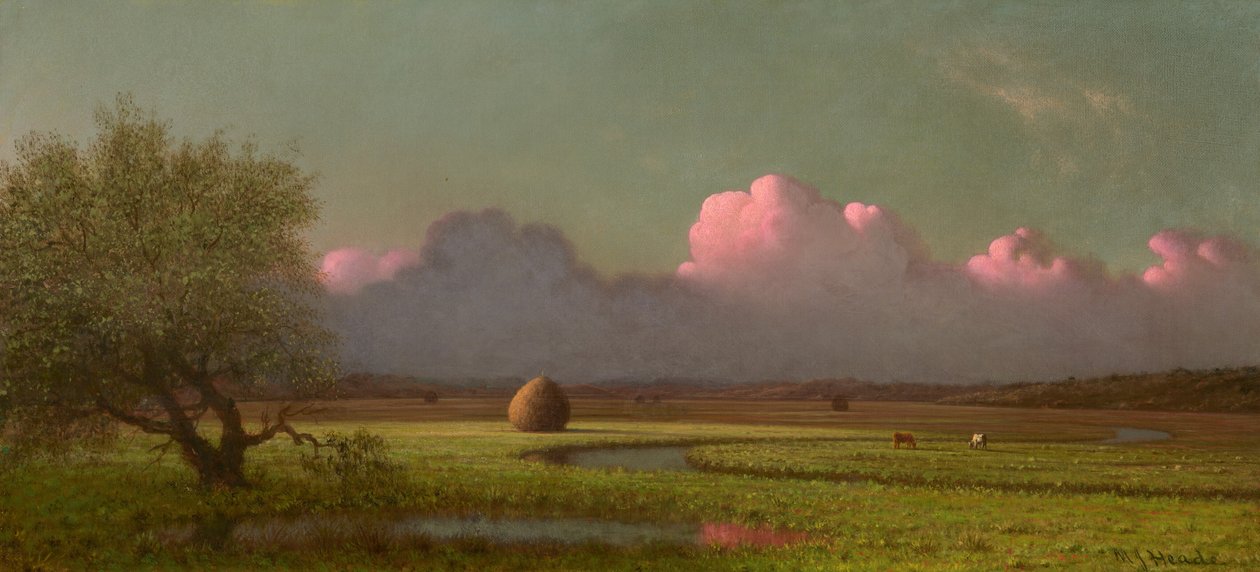 Sollys og skygge: Newburys sumpe af Martin Johnson Heade