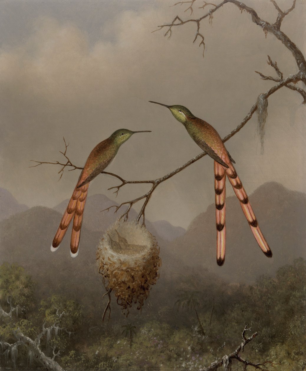 To kolibrier med deres unger af Martin Johnson Heade