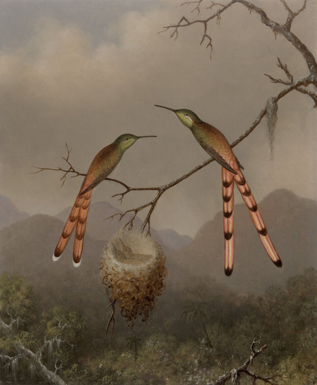 To kolibrier med deres unger af Martin Johnson Heade