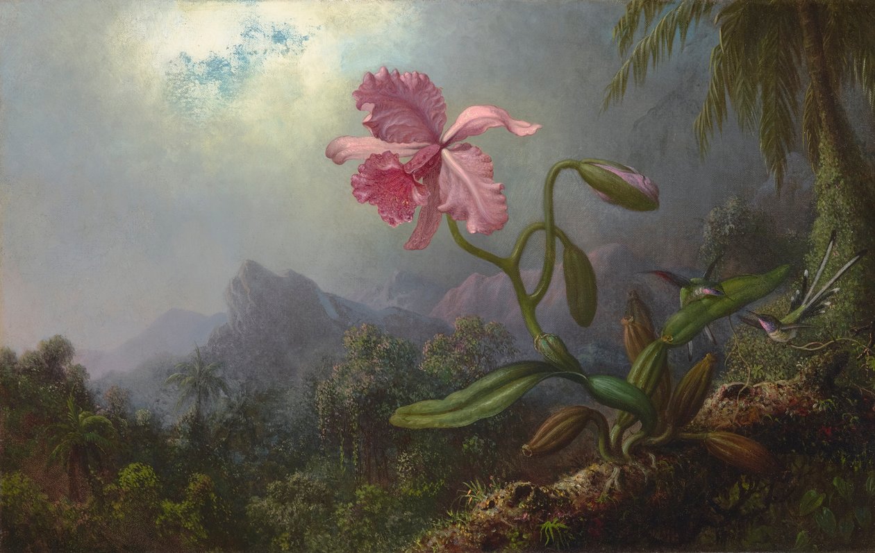To kolibrier med en orkidé 1875 (olie på lærred) af Martin Johnson Heade