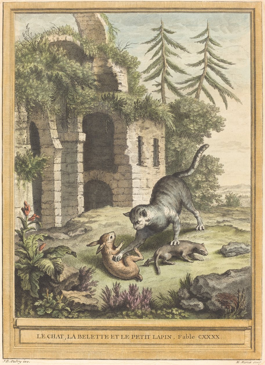Le chat, la belette et le petit lapin (Katten, væselen og kaninen) af Martin Marvie after Jean Baptiste Oudry