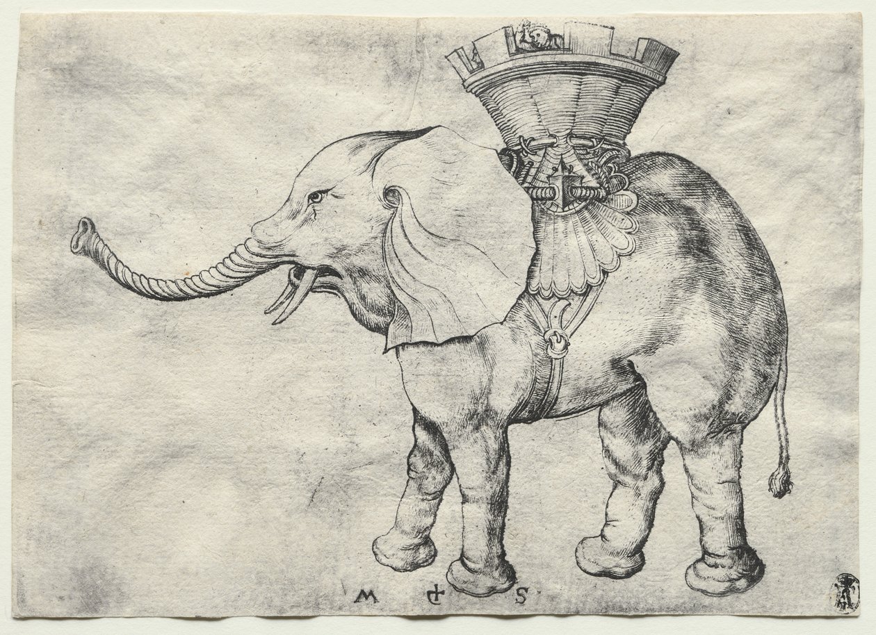 En elefant med Howdah af Martin Schongauer