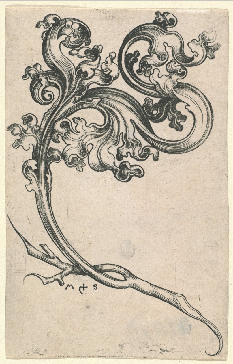 Blad Ornament af Martin Schongauer