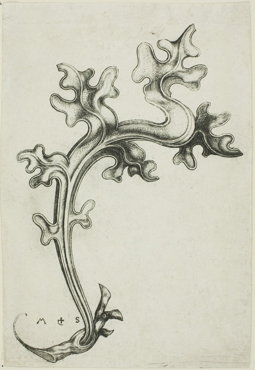 Ornament med blade af Martin Schongauer