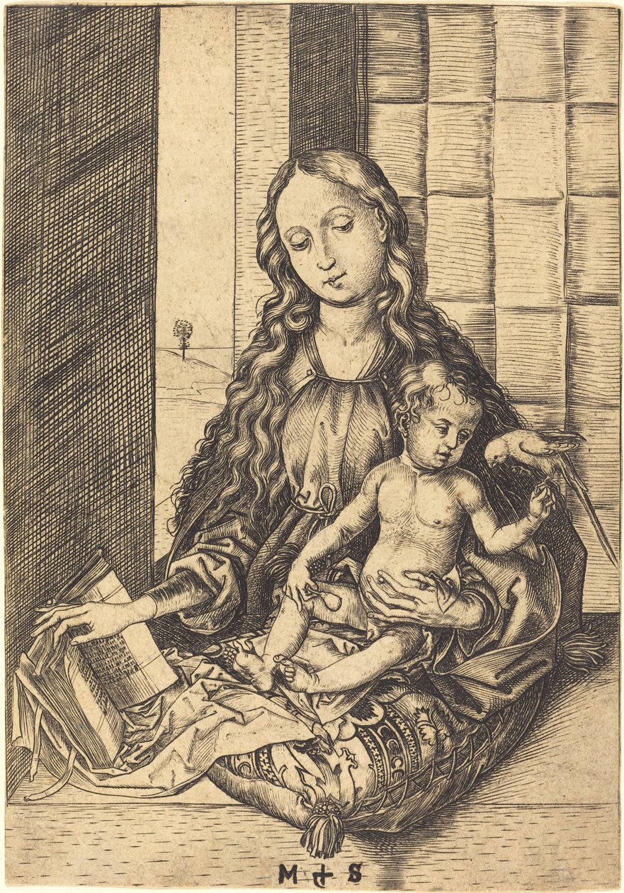 Madonna med en papegøje af Martin Schongauer