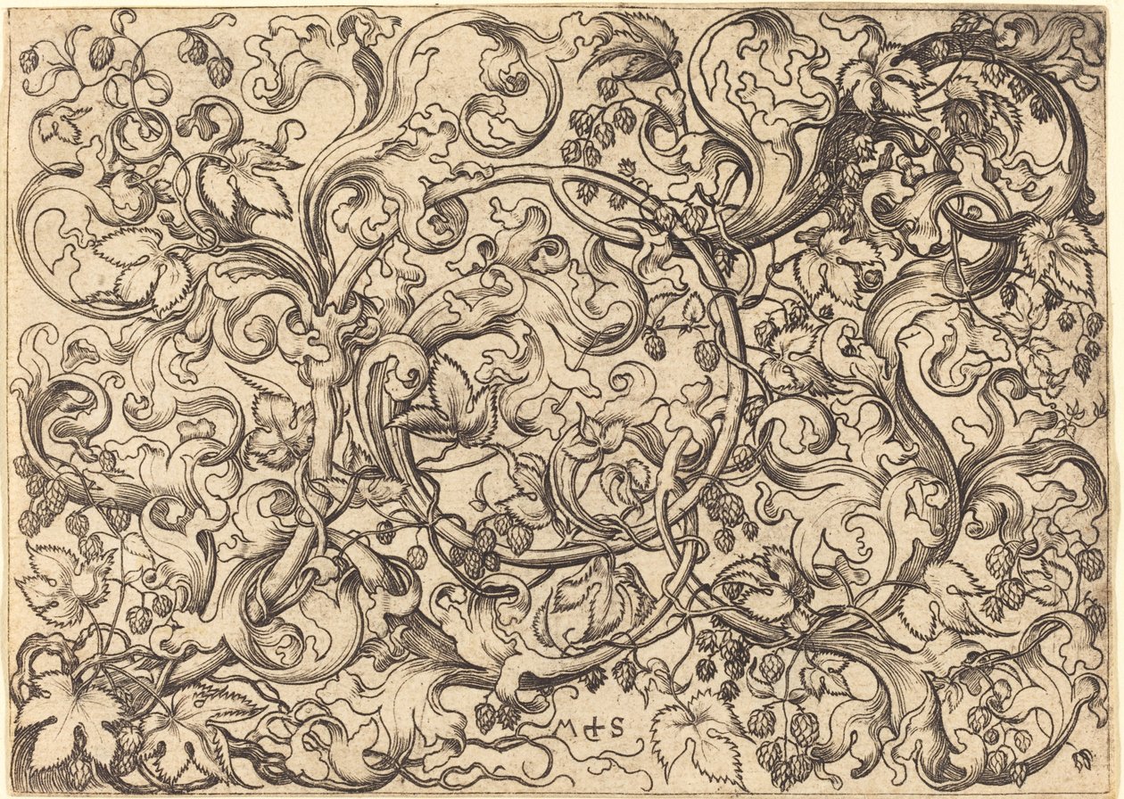 Ornament med Hop Vine af Martin Schongauer