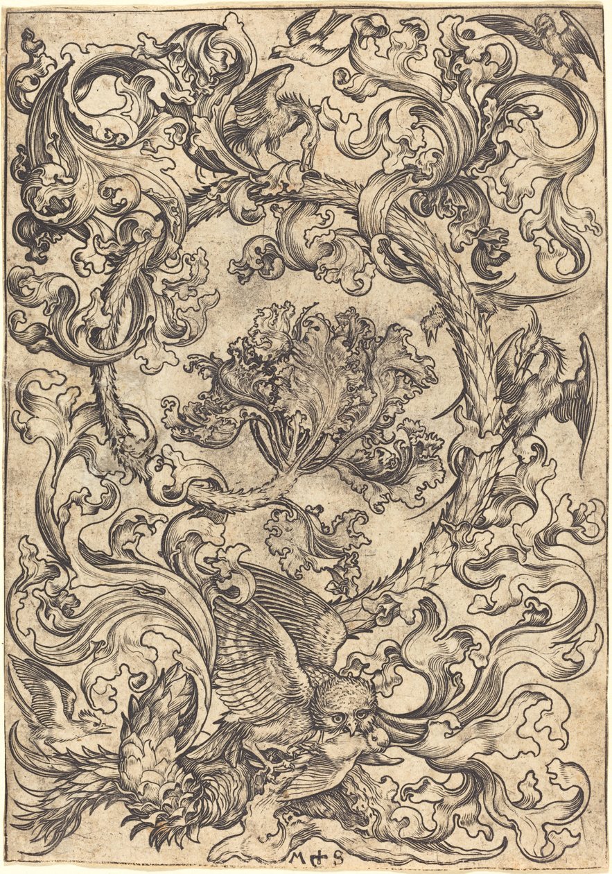 Ornament med ugle hånet af dagfugle af Martin Schongauer