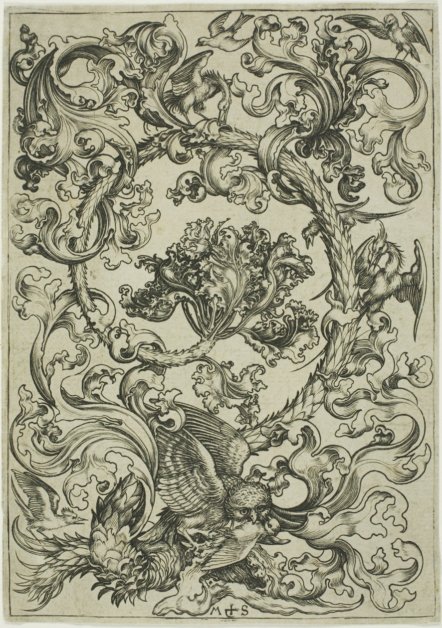 Ornament med ugle spottet af dagfugle af Martin Schongauer