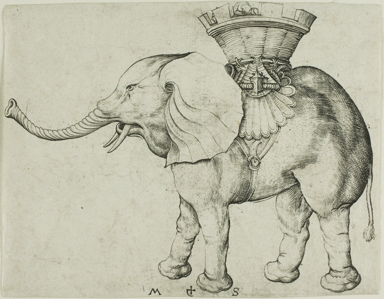 Elefanten af Martin Schongauer