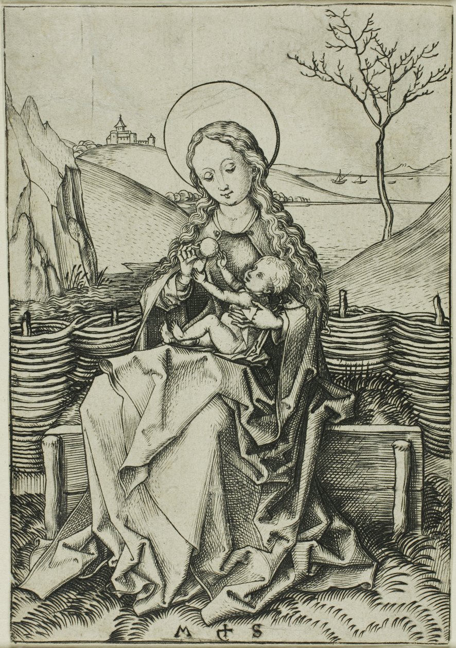 Madonna og barnet på en græsklædt bænk af Martin Schongauer