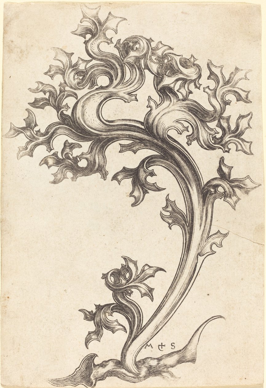 Tidsel Ornament af Martin Schongauer