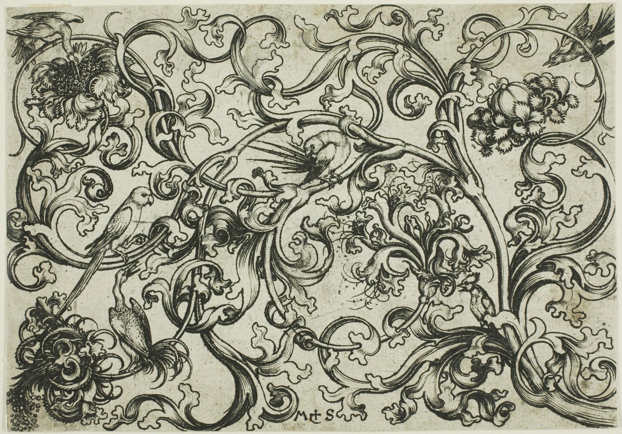 Vine Ornament med papegøjer og fugle af Martin Schongauer