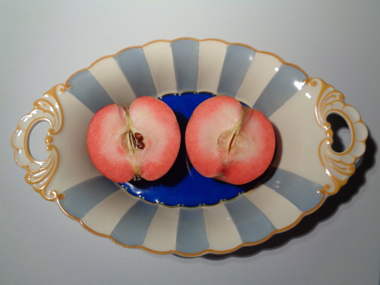 Porcelæn fra den kongeligt privilegerede Tettau porcelænsfabrik med et rødt æble af Martina Konitzky