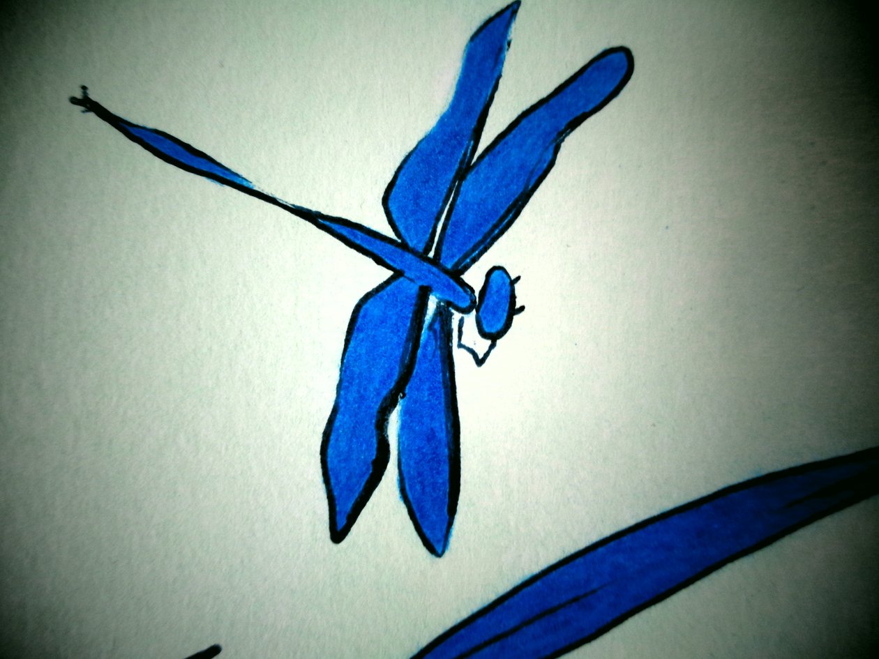 Dragonfly (detaljer) af Martina Konitzky