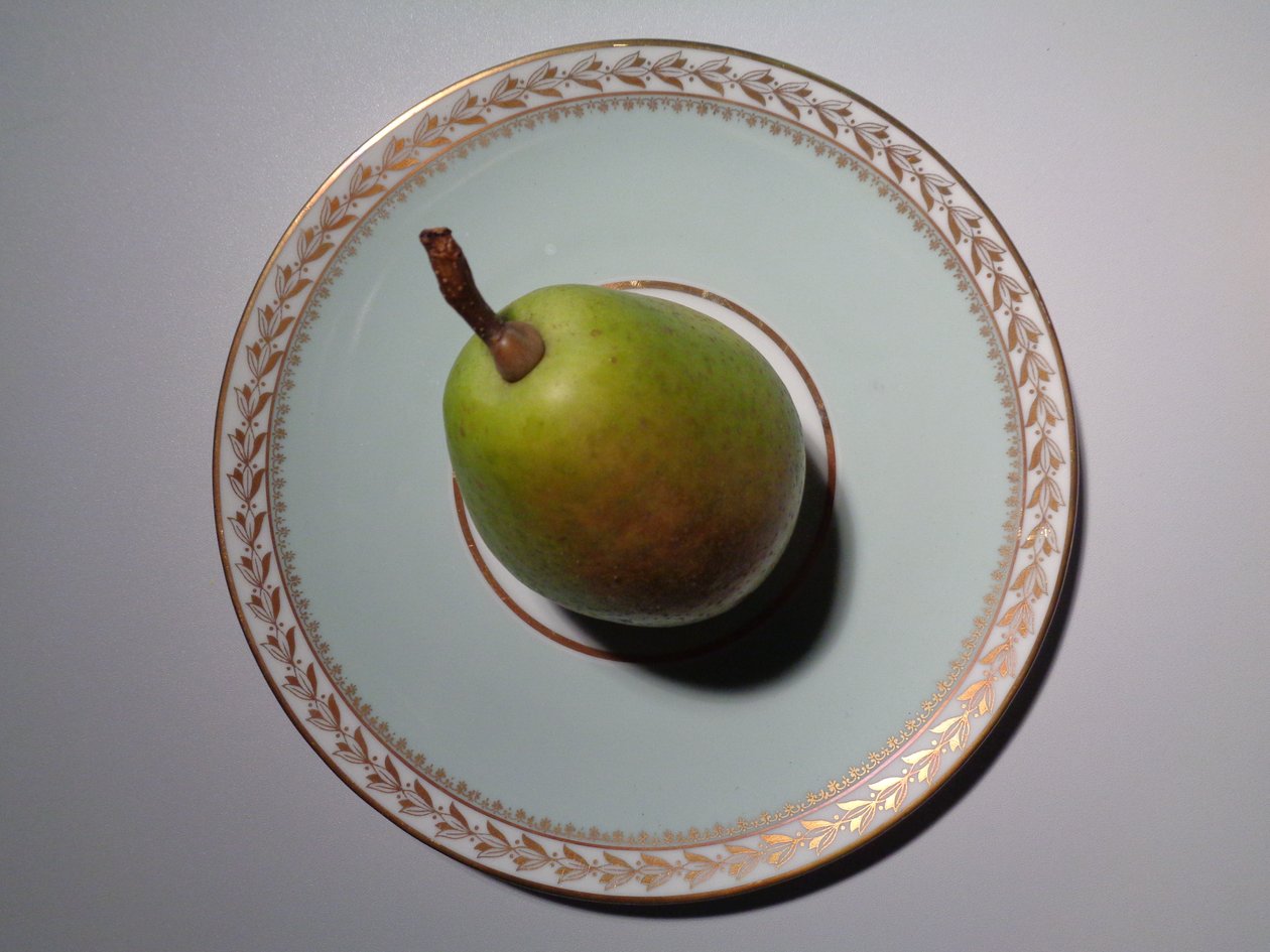 Lorenz Hutschenreuther porcelæn med pære af Martina Konitzky