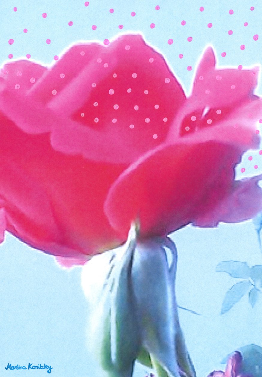 Rose pink af Martina Konitzky