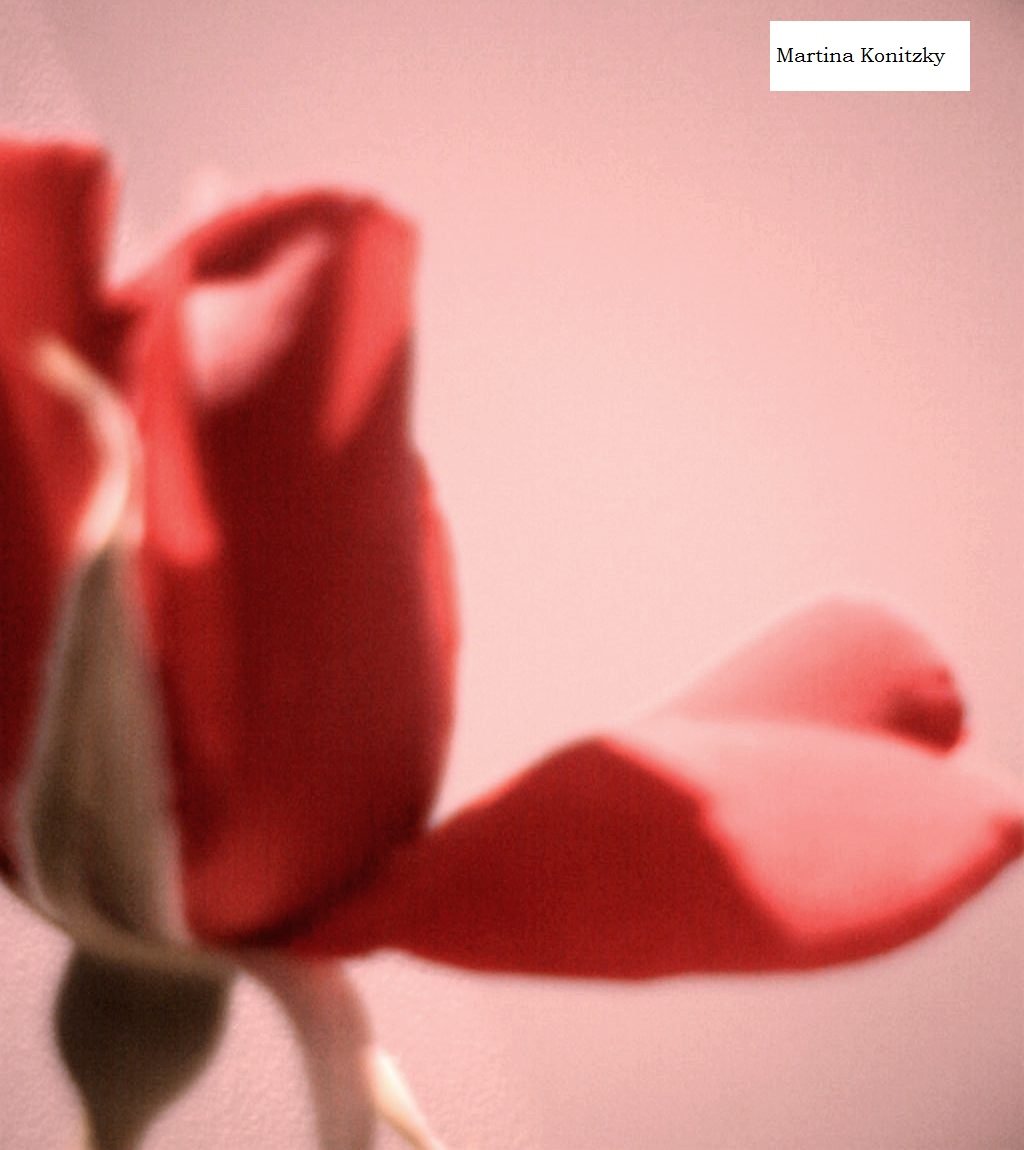 Rose Petal Heart af Martina Konitzky