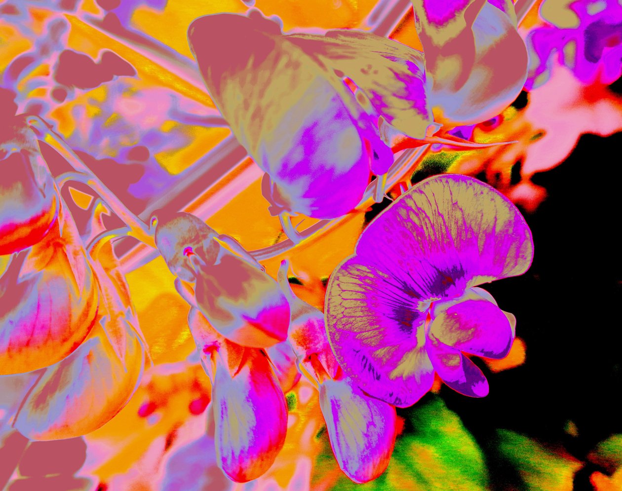 Sommerblumen af Martina Konitzky