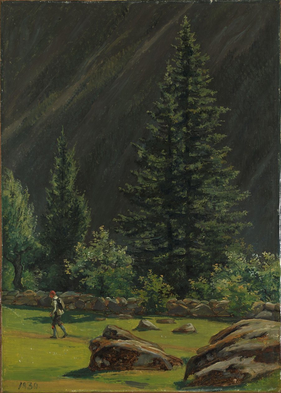 Fra Telemark af Martinus Rørbye