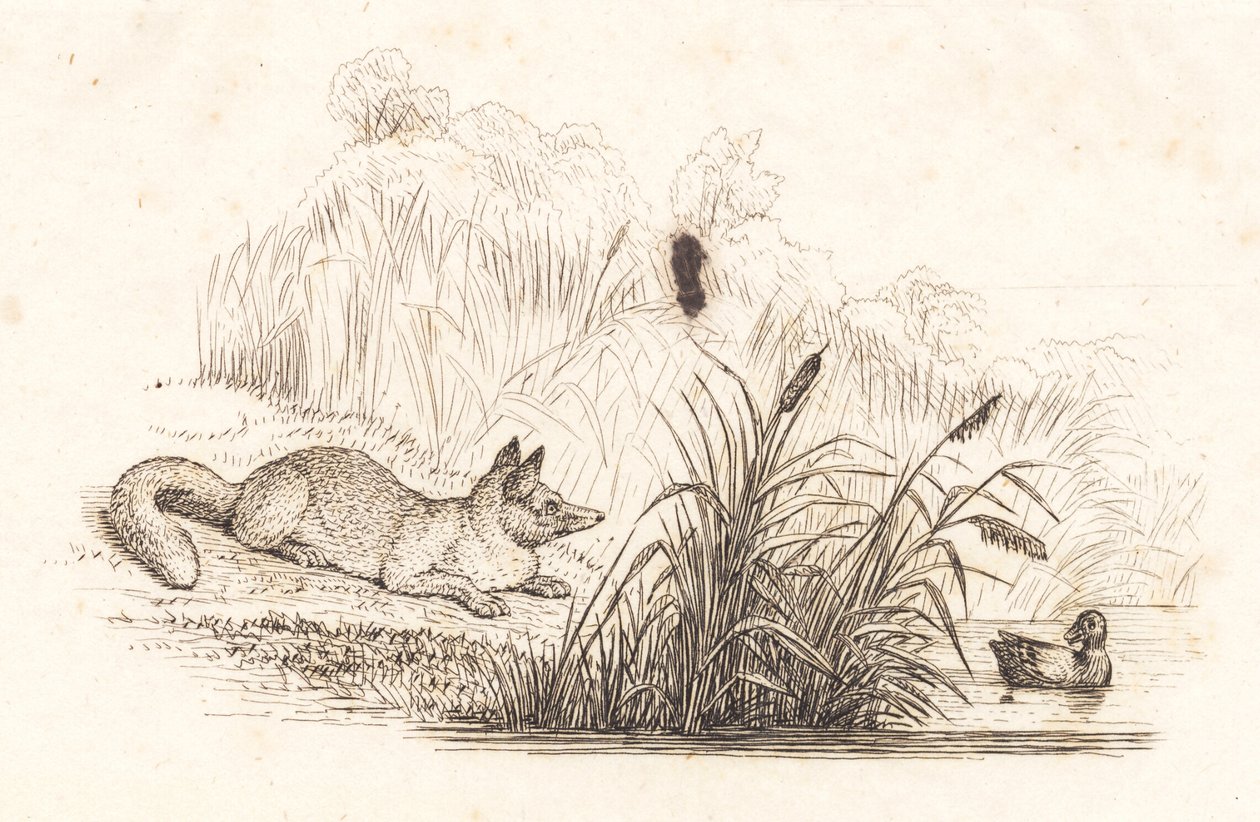 Illustration til "Halvhundrede Fabler for Børn" af Hey af Martinus Rørbye