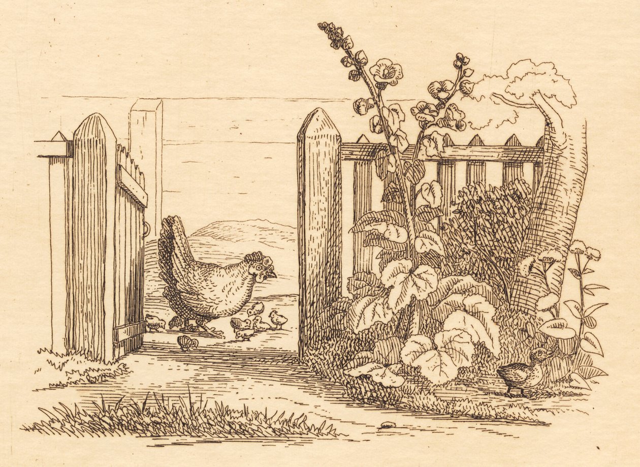 Illustration til "Halvhundrede Fabler for Børn" af Hey af Martinus Rørbye