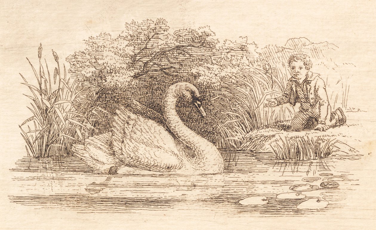 Illustration til "Halvhundrede Fabler for Børn" af Hey af Martinus Rørbye