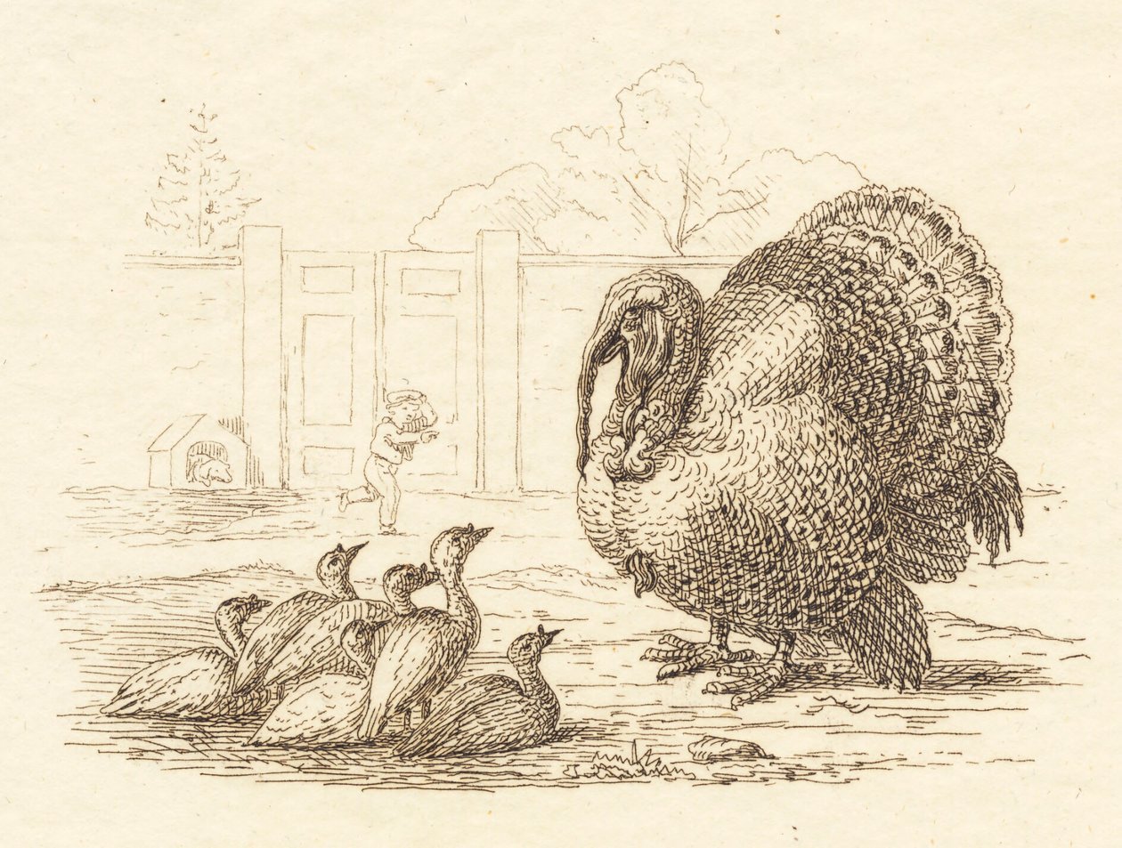 Illustration til "Halvhundrede Fabler for Børn" af Hey af Martinus Rørbye