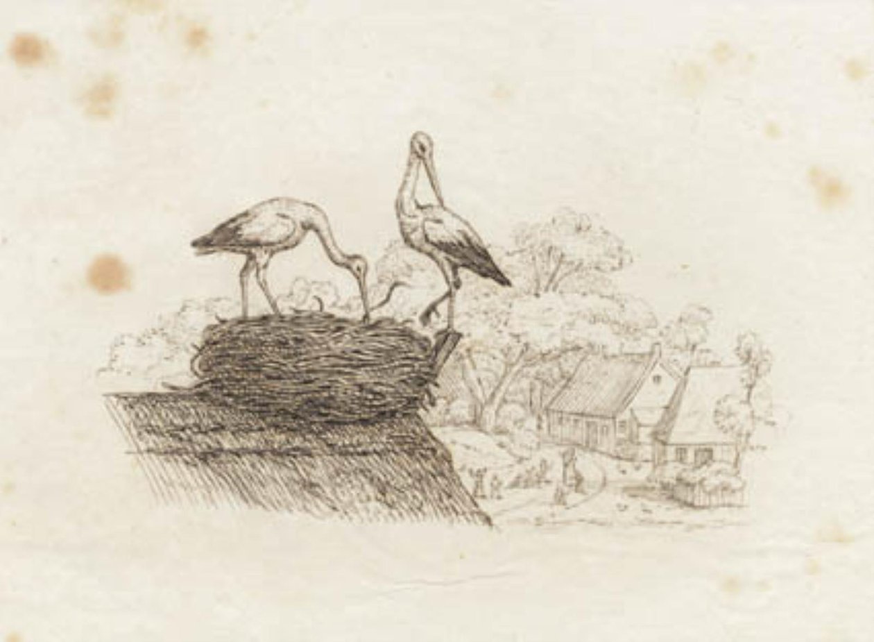 Illustration til "Halvhundrede Fabler for Børn" af Hey af Martinus Rørbye