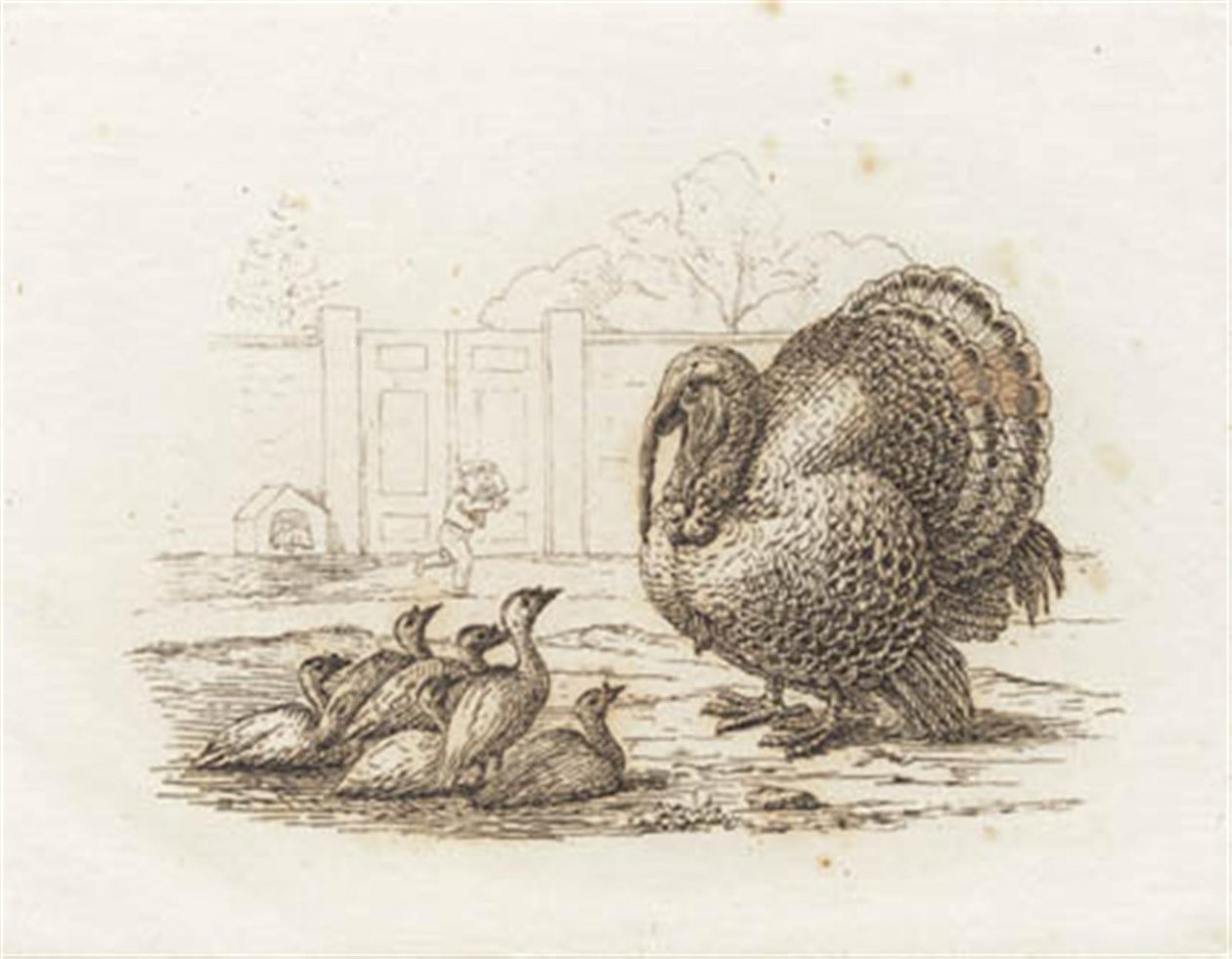 Illustration til "Halvhundrede Fabler for Børn" af Hey af Martinus Rørbye
