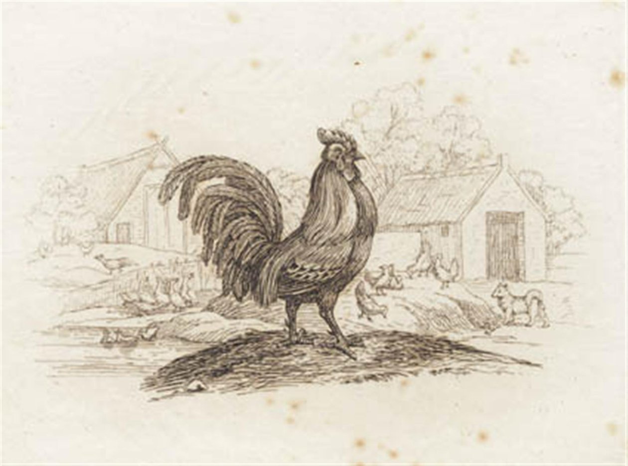 Illustration til "Halvhundrede Fabler for Børn" af Hey af Martinus Rørbye