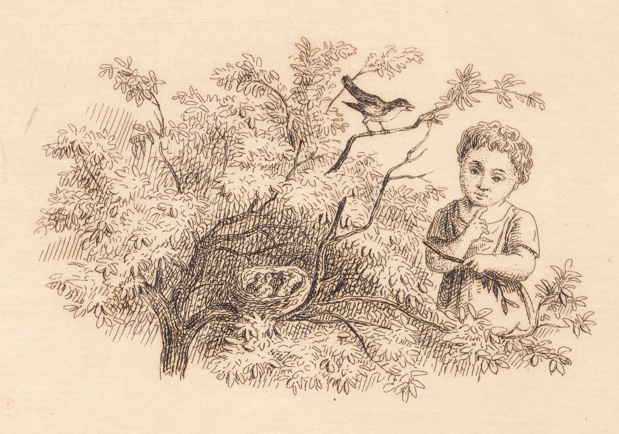 Illustration til "Halvhundrede Fabler for Børn" af Hey af Martinus Rørbye