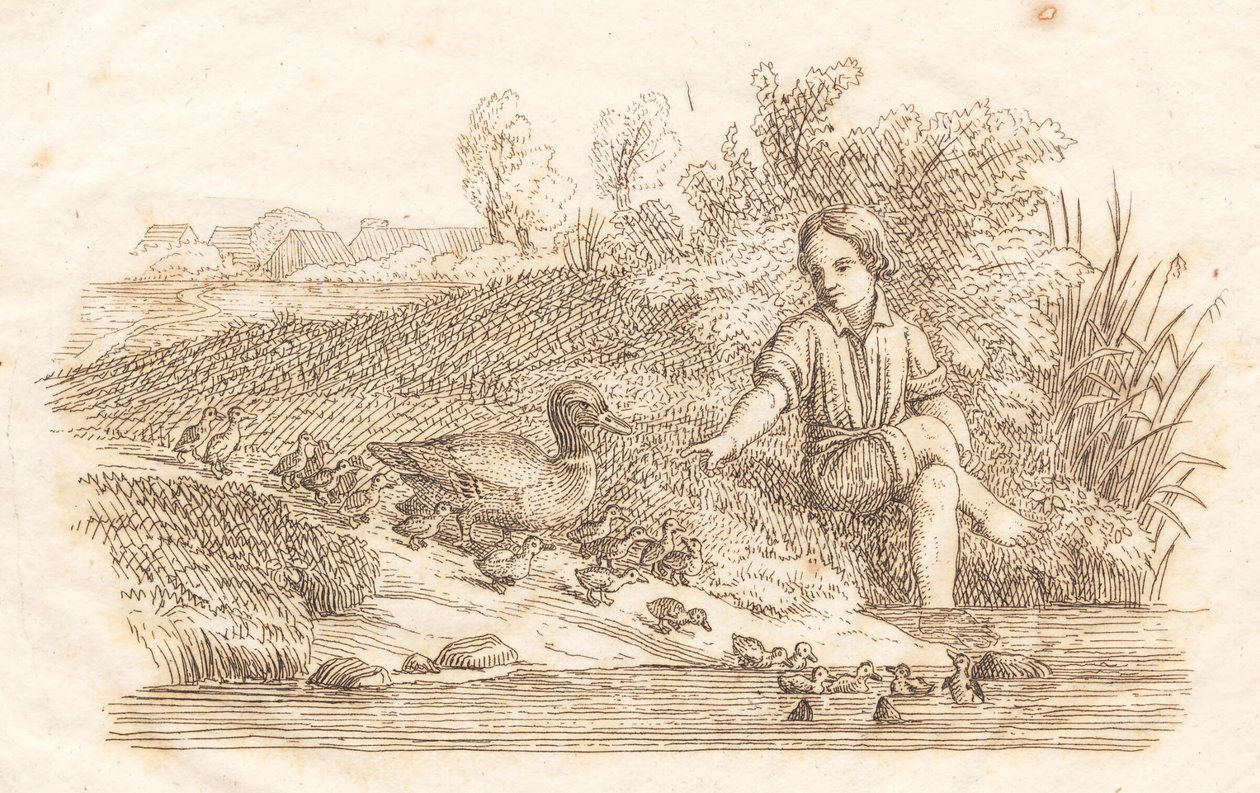 Illustration til "Halvhundrede Fabler for Børn" af Hey af Martinus Rørbye