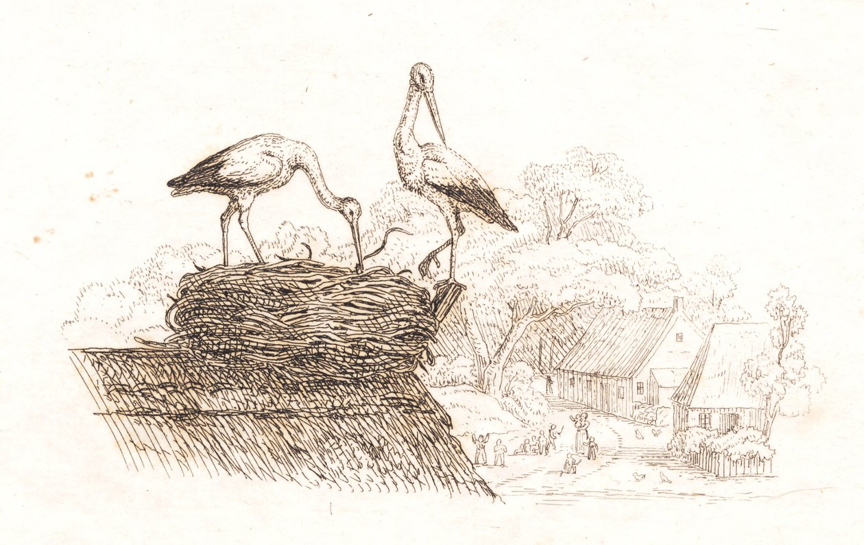 Illustration til "Halvhundrede Fabler for Børn" af Hey af Martinus Rørbye