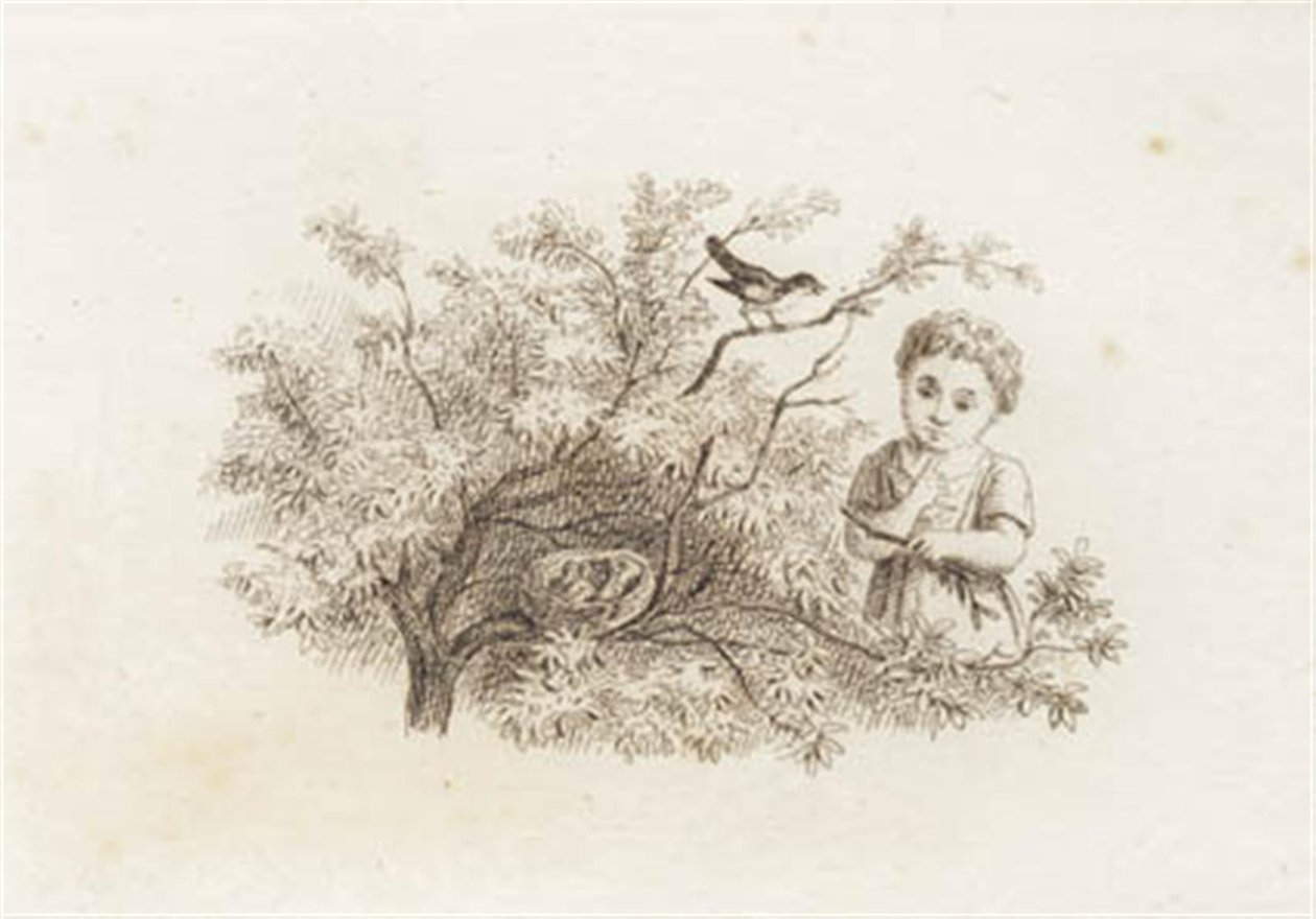 Illustration til "Halvhundrede Fabler for Børn" af Hey af Martinus Rørbye
